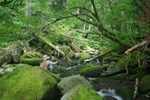 2016080112131200.jpg