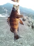 AD201332-0890-4A71-AA7C-558AA2D291C8.jpeg