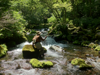 image-20120815164818.png